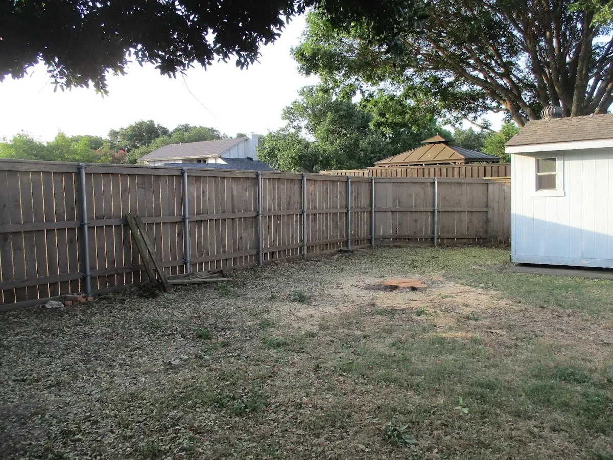 Cleared yard after professional tree removal in Mattawana